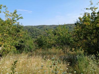 Acheter Terrain Ceret Pyrenees orientales