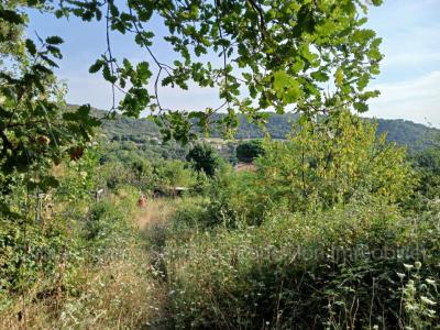 Acheter Terrain Ceret 25000 euros