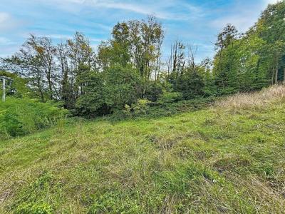 Acheter Terrain 713 m2 Vienne