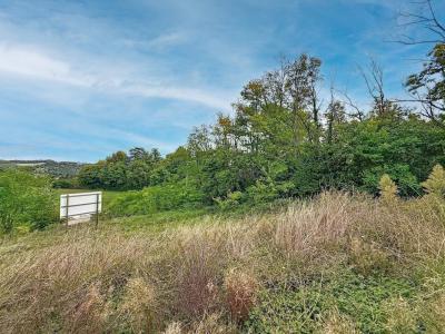 Acheter Terrain Vienne 175000 euros