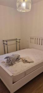 Louer Appartement Bagneux 895 euros