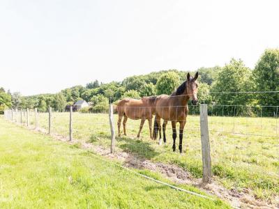 For sale Blere 8 rooms 240 m2 Indre et loire (37150) photo 4
