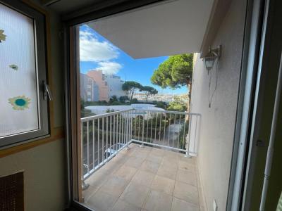 For sale Agde 1 room 24 m2 Herault (34300) photo 3