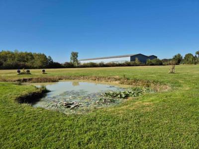 For sale Branges 6 rooms 250 m2 Saone et loire (71500) photo 1