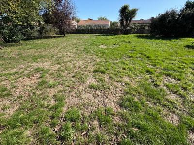 Annonce Vente Terrain Saint-lumine-de-clisson 44