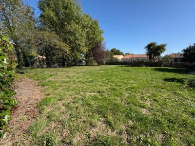Acheter Terrain 409 m2 Saint-lumine-de-clisson
