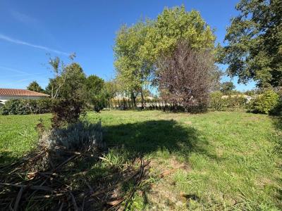 Acheter Terrain Saint-lumine-de-clisson 88590 euros