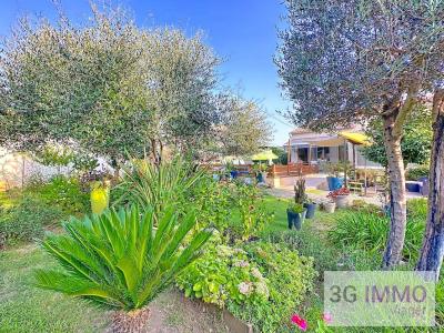 Annonce Vente 4 pices Maison Lucciana 20