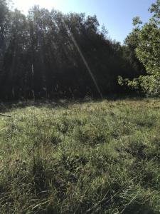 Annonce Vente Terrain Noailles 19