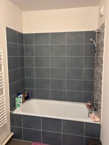 Annonce Location 3 pices Appartement Begles 33