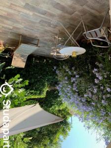 For rent Juan-les-pins 1 room 35 m2 Alpes Maritimes (06160) photo 0
