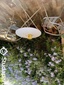 For rent Juan-les-pins 1 room 35 m2 Alpes Maritimes (06160) photo 3