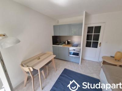 For rent Nice 1 room 19 m2 Alpes Maritimes (06300) photo 2