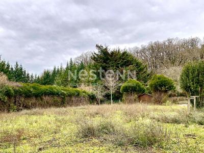 For sale Cellettes 1116 m2 Loir et cher (41120) photo 0