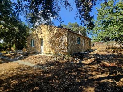 Annonce Vente 4 pices Maison Aleria 20