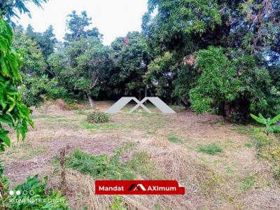 For sale Saint-louis 500 m2 Reunion (97450) photo 1