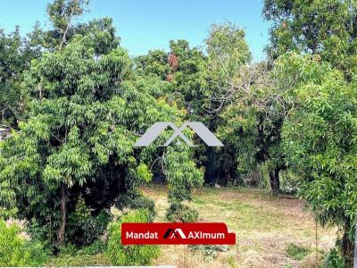 For sale Saint-louis 500 m2 Reunion (97450) photo 2