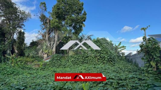 Annonce Vente Terrain Tampon 974