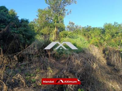 Annonce Vente Terrain Tampon 974