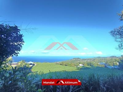 Annonce Vente Terrain Saint-joseph 974