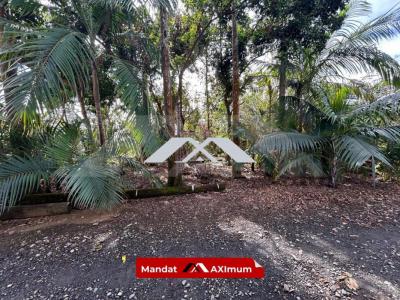 Annonce Vente Terrain Saint-benoit 974