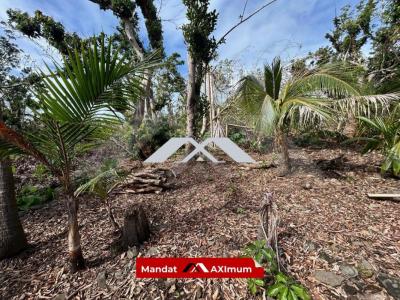 Acheter Terrain 539 m2 Saint-benoit