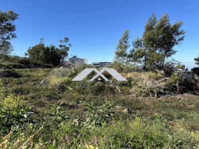 Annonce Vente Terrain Plaine-des-cafres 974