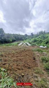 Annonce Vente Terrain Petite-ile 974