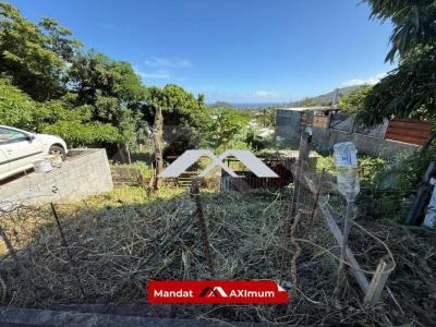 Annonce Vente Terrain Saint-joseph 974