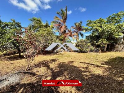 Annonce Vente Terrain Etang-sale 974