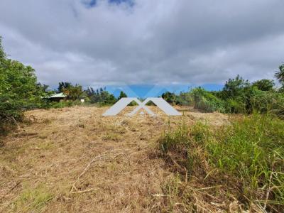 Annonce Vente Terrain Saint-joseph 974