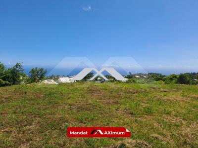 Acheter Terrain Saint-joseph 87560 euros