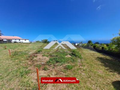 Annonce Vente Terrain Saint-joseph 974