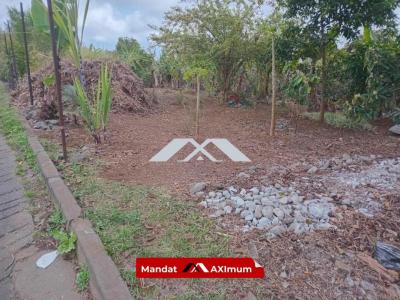 Annonce Vente Terrain Tan-rouge 974