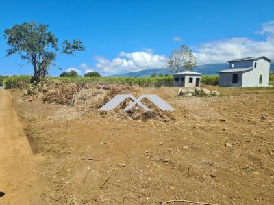 Annonce Vente Terrain Saint-benoit 974