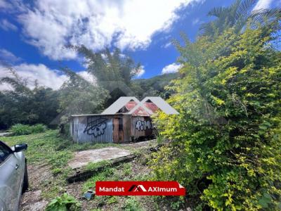 Annonce Vente Terrain Entre-deux 974