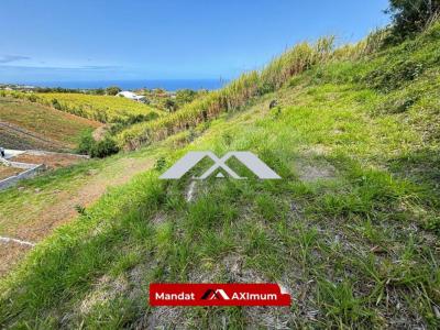 Annonce Vente Terrain Saint-pierre 974