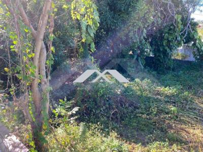 Annonce Vente Terrain Tampon 974