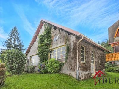 Acheter Maison 150 m2 Brouvelieures