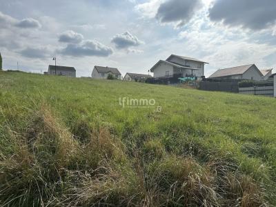 Acheter Terrain 969 m2 Theding