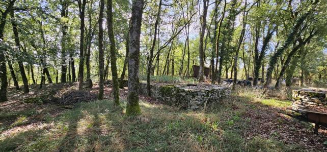 Acheter Maison Promilhanes Lot