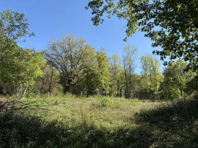 Annonce Vente Terrain Argenton-sur-creuse 36