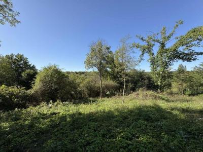 Acheter Terrain 2477 m2 Argenton-sur-creuse
