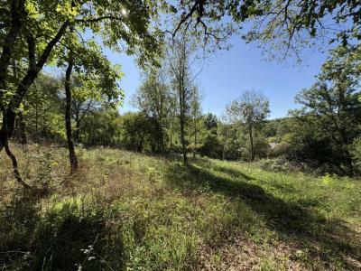 For sale Menoux 1382 m2 Indre (36200) photo 1