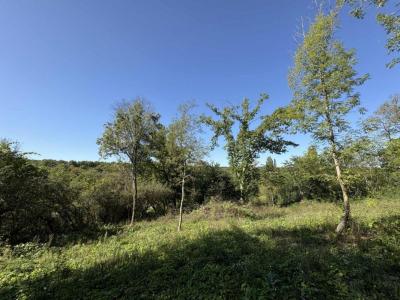 For sale Menoux 1382 m2 Indre (36200) photo 2