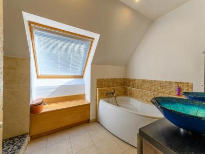 Acheter Maison Queue-en-brie 870000 euros