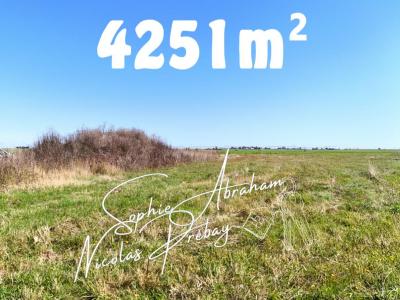 For sale Crottes-en-pithiverais 4251 m2 Loiret (45170) photo 0