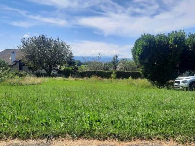 Annonce Vente Terrain Viuz-la-chiesaz 74