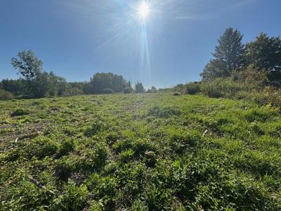 For sale Ortillon 5500 m2 Aube (10700) photo 0