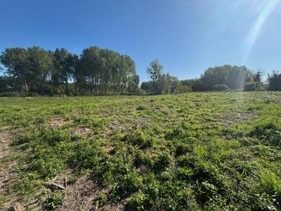 For sale Ortillon 5500 m2 Aube (10700) photo 1